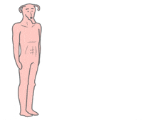 gumudesign uterus womb gümü gumudesign GIF