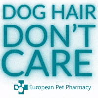 Agilitycourse GIF by Europeanpetpharmacy