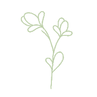 AtelierA flower flowers ateliera atelieraevents Sticker
