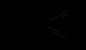 goflyparaquedismo blackedition gofly goflyparaquedismo vipblack GIF