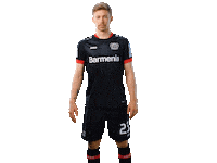 Bayer 04 Werkself Sticker by Bayer 04 Leverkusen