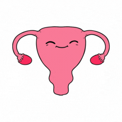 Period Menstruation GIF by trackle