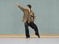 redtigerclub martial arts relaxing tai chi alignment GIF