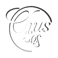 dj chus Sticker by Trap Invaders