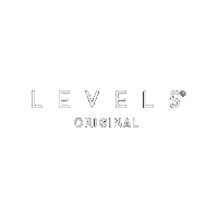 Levelsoriginal Sticker by Levelsloja
