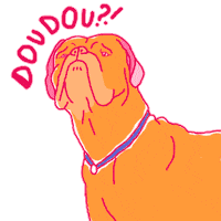 Dog Doudou Sticker by Latitude Jeunes