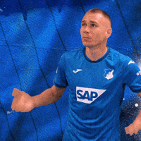 Sport Bundesliga GIF by TSG Hoffenheim