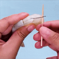 exportquilsa shrimp GIF