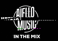 aiellomusic dj hannover aiello palopalo GIF