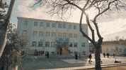 Happy GIF by Show TV