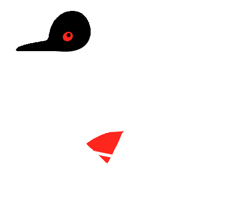 Swim Gull Sticker