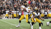 Jeffbrohm Boilerfootball GIF by Purdue Sports