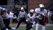 Jeffbrohm Boilerfootball GIF by Purdue Sports