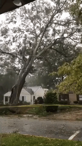 Tree Falls on a House in Athens, Georgia