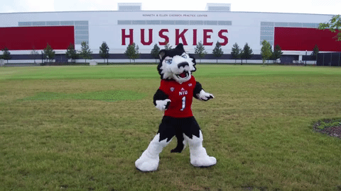 Mascots Huskies GIF by Northern Illinois University