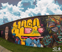 laplagainvade graffiti garbage medellin apc GIF