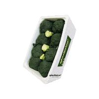 Party Love Sticker by GladiatorFruit