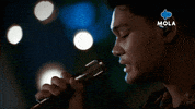 Happy Life GIF by MolaTV