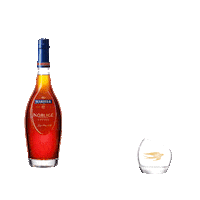 Clubbing Happy Hour Sticker by Maison Martell