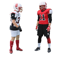 stuttgartscorpionssisters handshake sisters stuttgart americanfootball Sticker