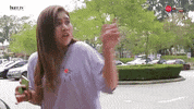 hurr_tv  GIF