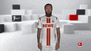 Posing Line Up GIF by Bundesliga