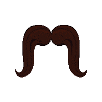 Cat Dog Sticker by Shelter Pet Project