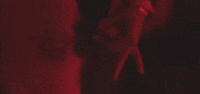Fyre GIF
