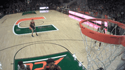 college sports ncaa GIF