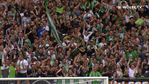 Soccer Bundesliga GIF by VfL Wolfsburg