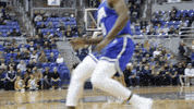 NevadaWolfPack college basketball nevada wolf pack unr GIF