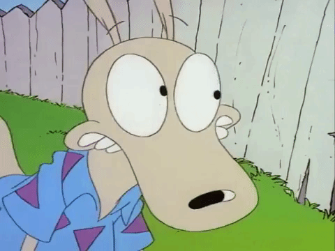 Rockos Modern Life Nicksplat GIF by NickRewind