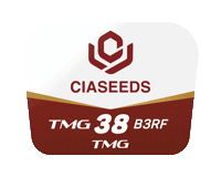 Tmg Sticker by Ciaseeds