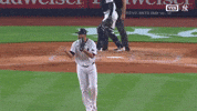 New York Yankees Applause GIF by MLB