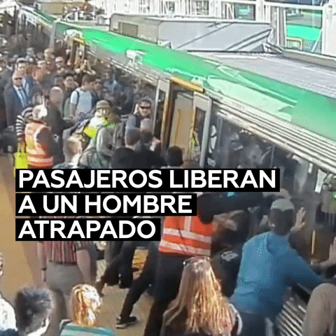 rt-espanol giphyupload GIF