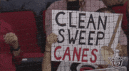 ice hockey GIF by NHL