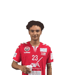 Sport Team Sticker by Montfermeil Handball