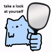 Cat Ok GIF by sillynub