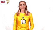 The Valley Mvc GIF by Missouri Valley Conference