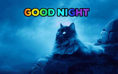 Good Night Cat GIF by Ferhat Şaşkın