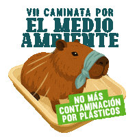 carderrisaralda carder vii caminata por el medio ambiente Sticker