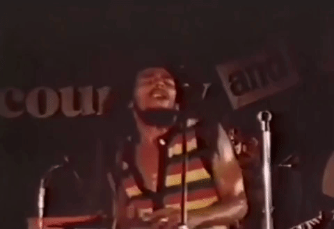 lively up yourself GIF by Bob Marley