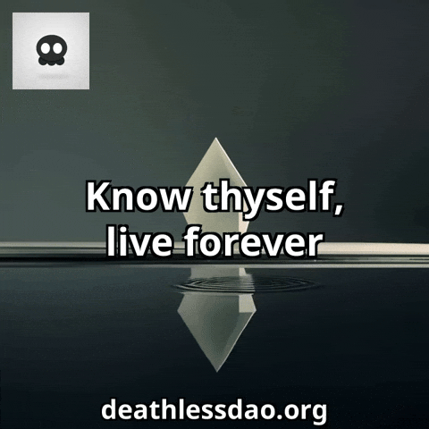 Humor Know GIF by deathlessdao