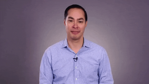 Endorse Elizabeth Warren GIF