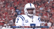 Regular Season Football GIF by NFL