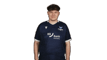 Karlsruher Sc Hello Sticker by Bundesliga
