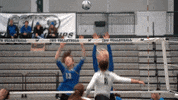 Iwutitans Tgoe GIF by iwusports