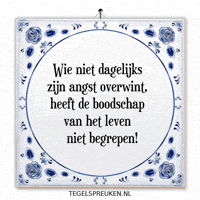 Humor Nl GIF by Tegelspreuken.nl