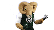 Csurams Gorams Sticker by Colorado State Rams