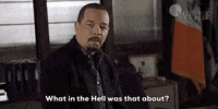 Dick Wolf What GIF by Wolf Entertainment